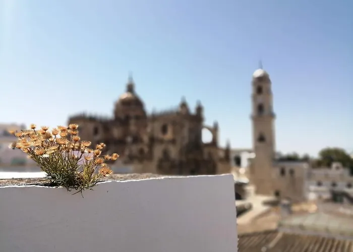 Hotel Bellas Artes Catedral